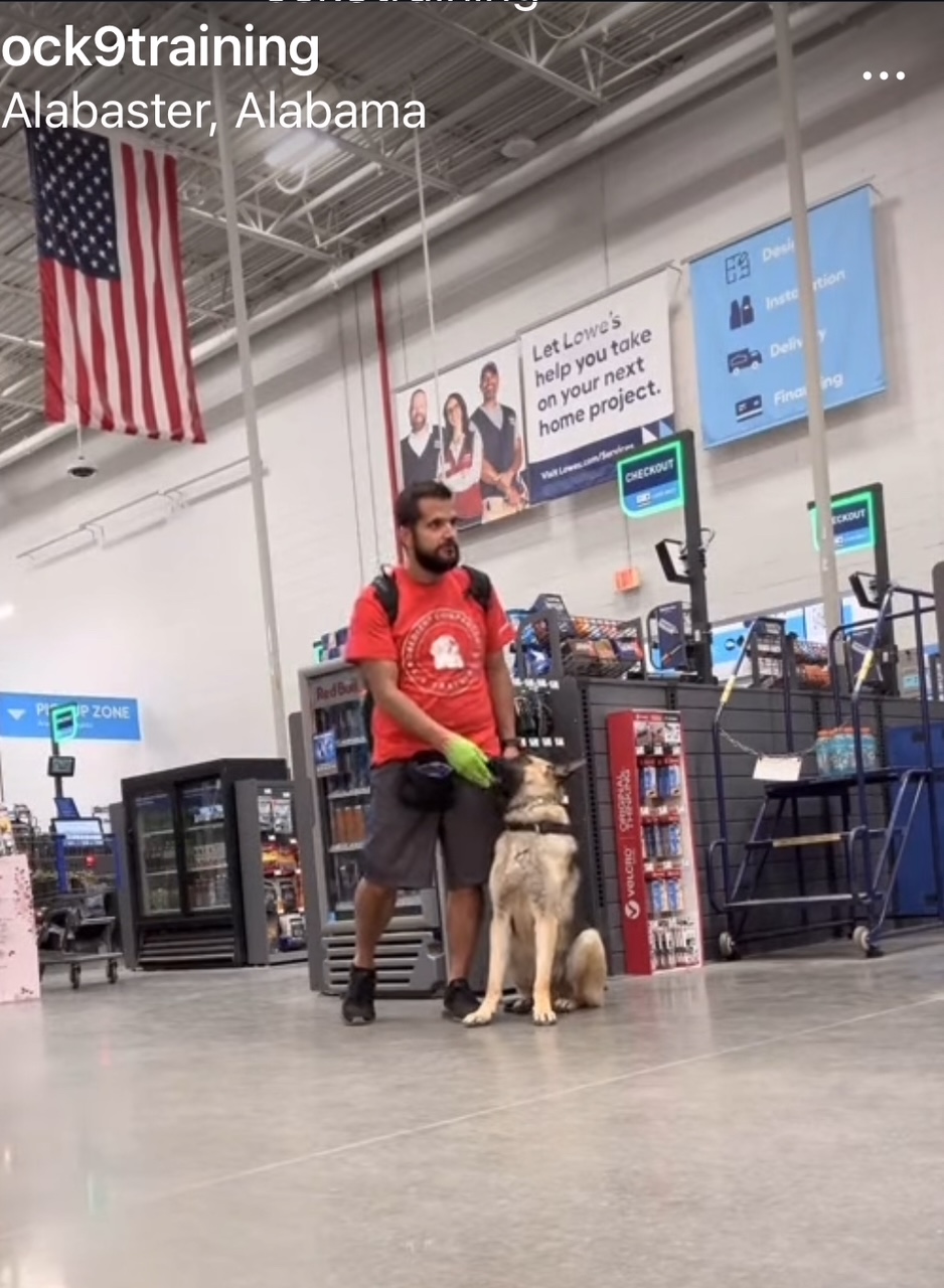 obedient Companions K-9 Training and Ranger